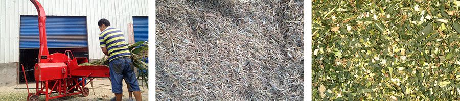 广西安博·体育