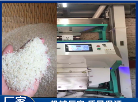 大型安博·体育