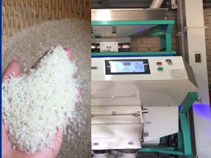 大型安博·体育