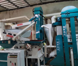 安博·体育哪家好