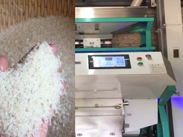 大型安博·体育