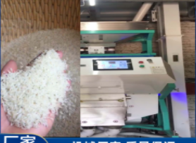 大型安博·体育